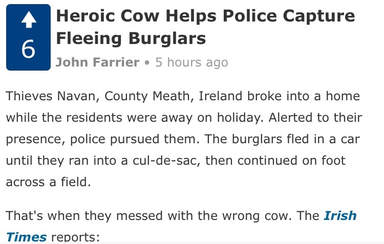 neatorama.com article screenshot: "Thieves Navan, Count Meath, Ireland..."